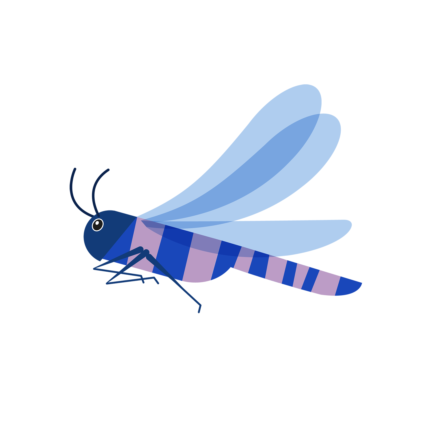http://Dragonflies